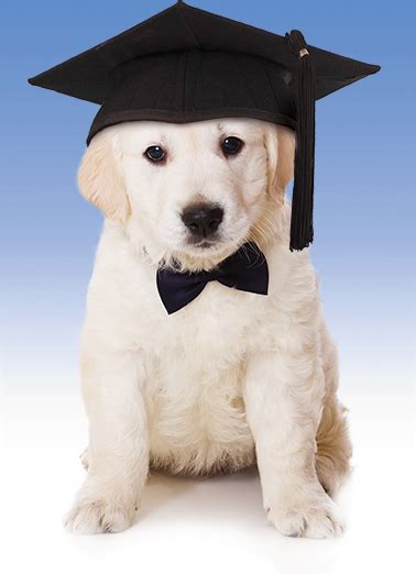 Funny Graduation Ecard - "Graduation Puppy" from CardFool.com