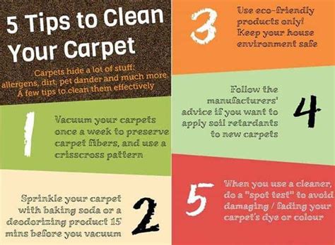 5 Useful Carpet Cleaning Tips