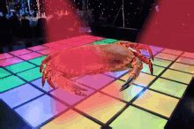 Crab Dancing GIFs | Tenor