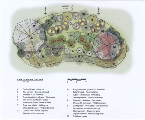 Rain Garden Design Templates - art-mongoose