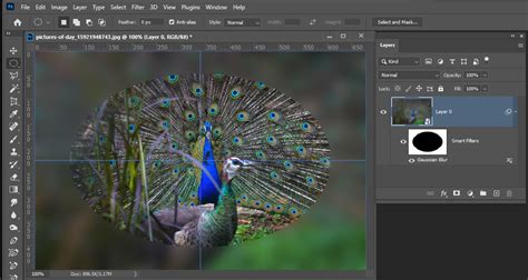 Solved: How to apply gaussian blur on the entire image exc... - Adobe ...