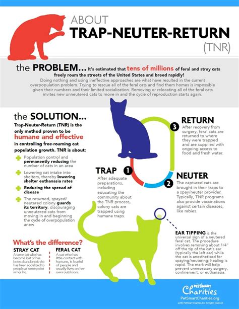 Pet Obesity (Infographic)