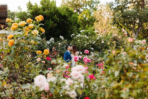 Marin Sanctuary Marks 75 Years of Arts and Gardens | Pacific Sun