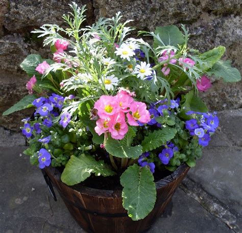 spring flowers in tub | in My Garden | Pinterest