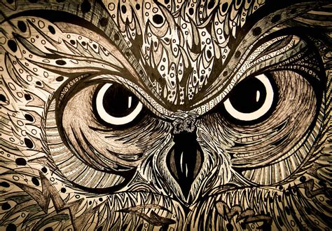 Owl Eyes Drawing by Nathan Newman