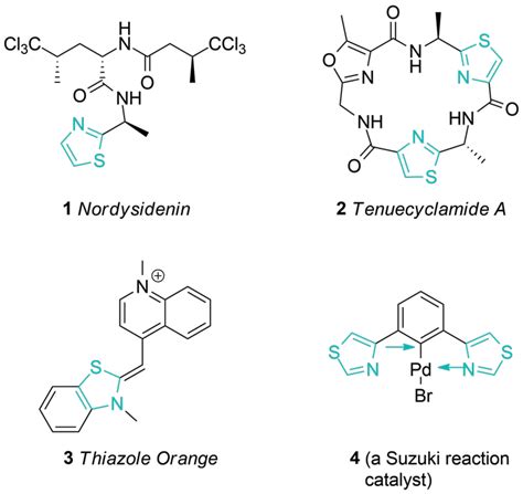 We Prepared a Set of Functionalized 1,3-Thiazoles to Power Up Your ...