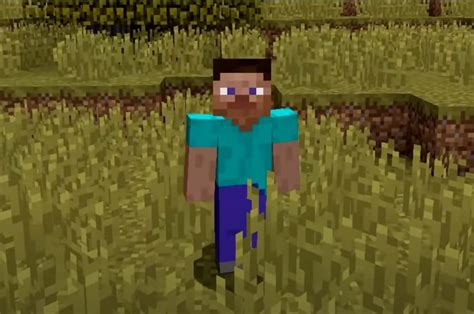 Who is Black Steve in Minecraft?