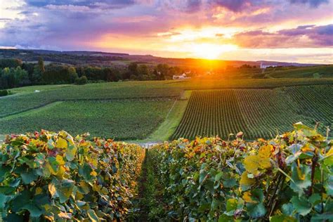 A Wine Lover's Guide to Visiting Champagne France