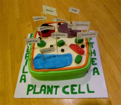 Plant cell, Plant cell cake, Cells project