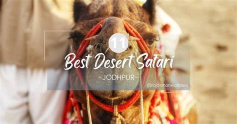 11 Best Desert Safari in Jodhpur: Experience the Thrill