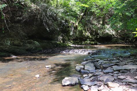 Sycamore Falls: The Best Tennessee Summer Hike - Exploring Chatt