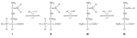 Answered: NH2 NH2 | C=N NH2 | C=N-H NH2 H C=N C=N… | bartleby