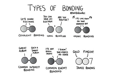 A Twisteddoodles guide to chemical bonding | New Scientist