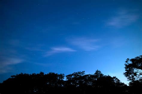 Free picture: dark blue sky, clear sky, dusk, stars, clouds, trees, night