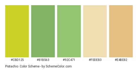 Pistachio Color Scheme » Cream » SchemeColor.com