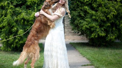 Q&A With a Borzoi Dog Breeder