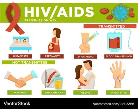 Hiv and aids transmission ways poster with info Vector Image