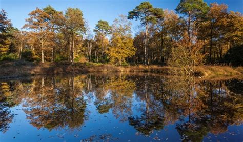 Stover Country Park - Environmental Attraction - Visit South Devon