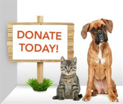 Riveredge is hosting holiday pet drive - Owego Pennysaver Press