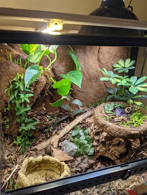 Ive been working on these terrarium for my snakes for the last 2 months ...