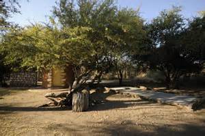 Etosha Park Camping guide Namibia Travel Booking Service