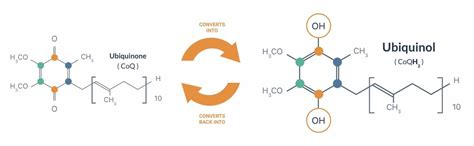 COQ10 vs Ubiquinol | Ubiquinol Australia