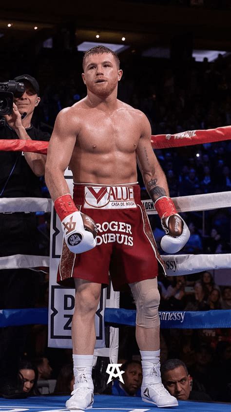 Canelo Wallpaper