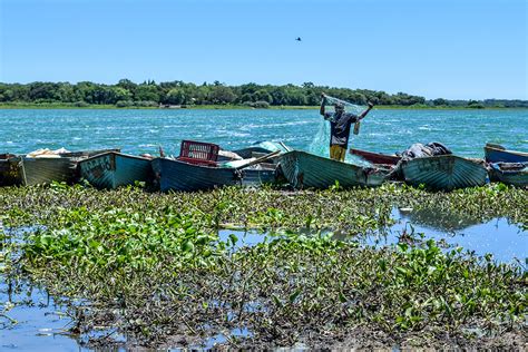 Fishermen Caught Between Livelihood and Laws to Protect Lake Chivero