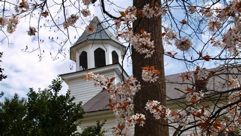 Loudoun County Government: A State and Local IT Success Story