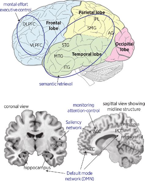 Benefits of memory retrieval for vocabulary learning: A neurocognitive ...