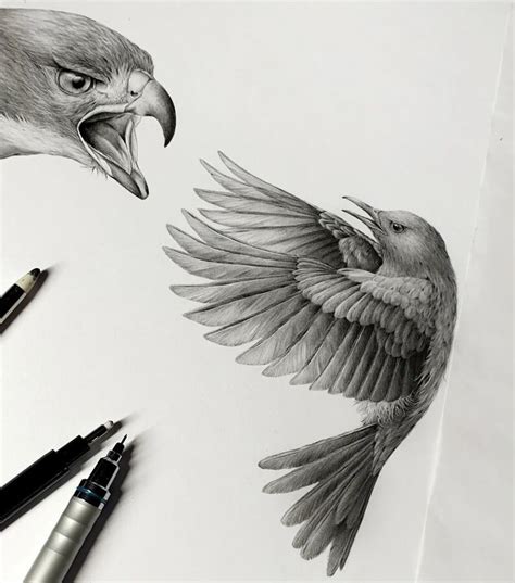 Realistic Animal Pencil Drawings