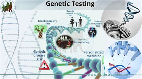 Genetic Testing Types, Purpose, Procedure, Results and Future | Lab ...