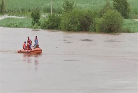 Maharashtra: Man stranded on tree in middle of swollen Warana River ...