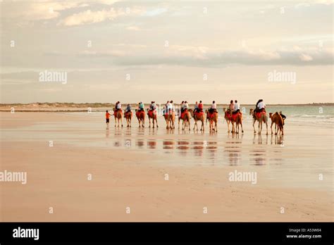 Camel rides on Cable Beach in Broome Western Australia Stock Photo - Alamy