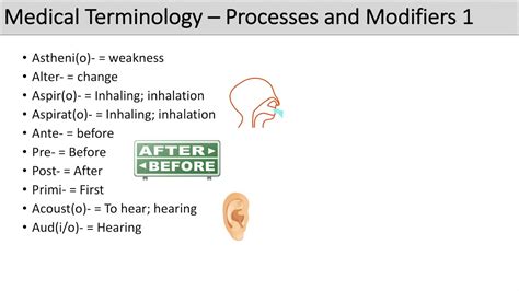 Medical Terminology - The Basics - Lesson 5 - YouTube