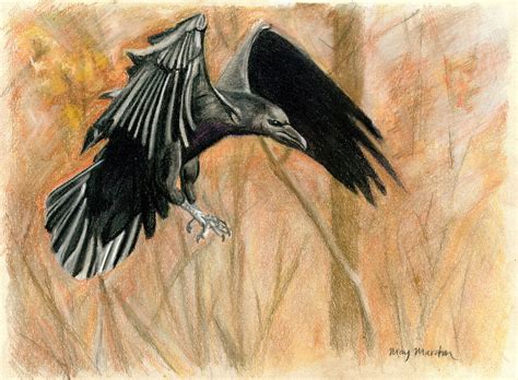 Flying Crow Drawing at GetDrawings | Free download