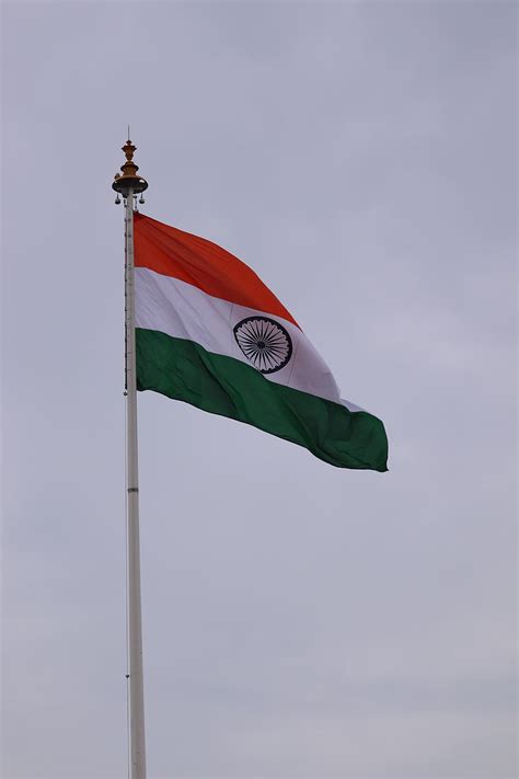 HD wallpaper: flag, india, nature, indian flag, people, stand ...