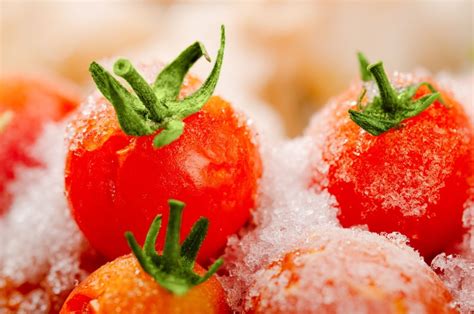 Top Tips For Freezing Tomatoes