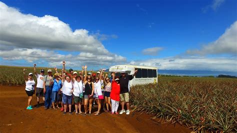 Maui Pineapple Tours offers a fun-filled pineapple tour for the whole ...