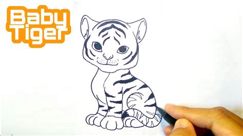 How To Draw A Realistic Baby Tiger Step By Step