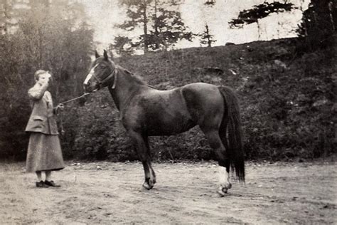 Dark Entry Forest, Inc. - Cornwall Historical Society