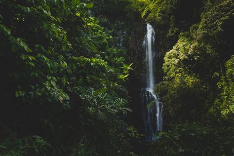 10 Must-See Maui Waterfalls + Map (for swimming, hikes & families)