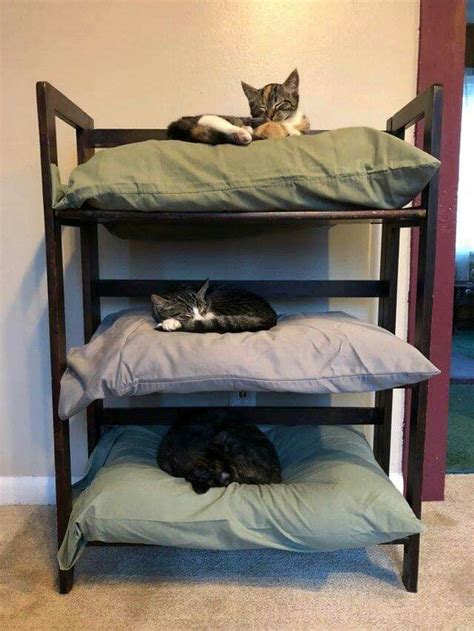 Pin by Quiltedpatches * on cats | Cat bunk beds, Cat bed, Cat room