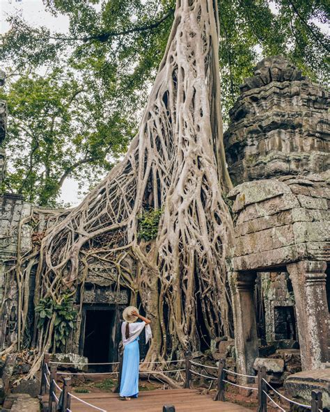 Visiting Angkor Wat - Everything you need to know - voyagefox