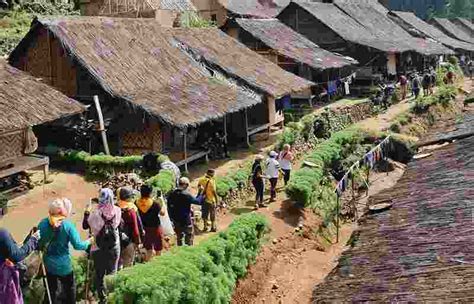 Suku Baduy: Sejarah, Ciri Khas dan Kehidupannya