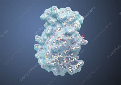 Insulin molecule, illustration - Stock Image - C052/3468 - Science ...