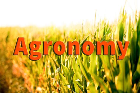 fundamental of agronomy books pdf || what is Agronomy || Definition and ...