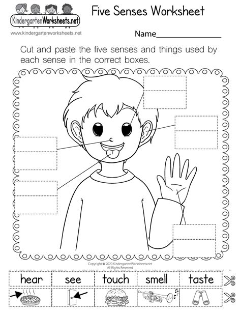 Free Printable Five Senses Worksheet