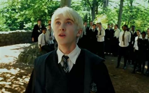 Dracy is scared Harry Potter Draco Malfoy, Harry Potter Characters ...