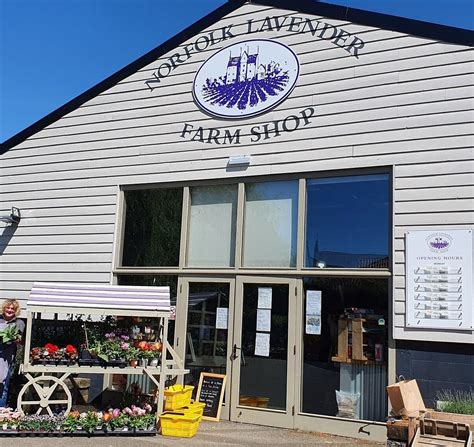 Norfolk Lavender Farm Shop - All You Need to Know BEFORE You Go (2024)